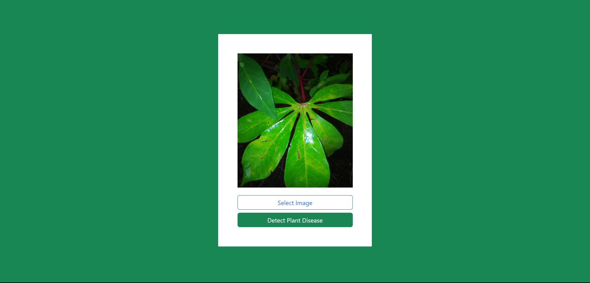 Cassava Plant Diseases Detector user interface
